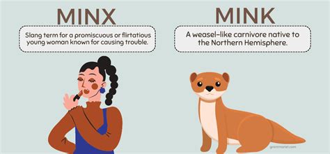 alla minx|what does minx mean.